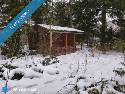 Nieruchomość nad Wisłą - Stare Grochale  -
mazowieckie Zdjęcie nr 2