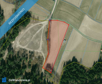 Działka rolna z decyzją o warunkach zabudowy przylesie w Kozłówku - Kozłówek  - podkarpackie