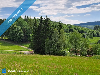 Widokowa uzbrojona MPZP działka  budowlana w Górach Sowich - Bartnica  -
dolnośląskie Zdjęcie nr 2
