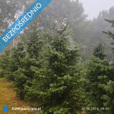 Zadbana działka na sprzedaż - Ostrowo  -
pomorskie Zdjęcie nr 13