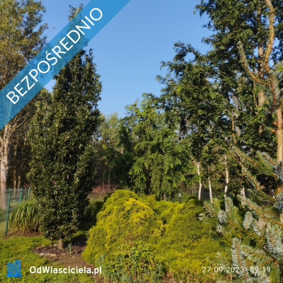 Zadbana działka na sprzedaż - Ostrowo  -
pomorskie Zdjęcie nr 4