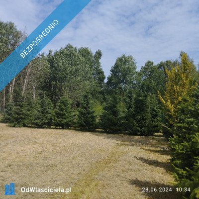 Zadbana działka na sprzedaż - Ostrowo  -
pomorskie Zdjęcie nr 6