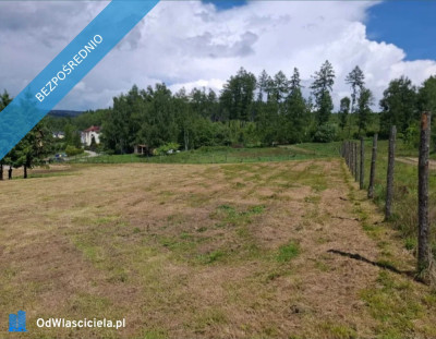 WIELORODZINNA działka Kudowa Zdrój pod pensjonaty 32 ary  - Kudowa-Zdrój  -
dolnośląskie Zdjęcie nr 3