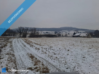 Piękne działki 30 arów w gorach - Gorzanów  -
dolnośląskie Zdjęcie nr 5