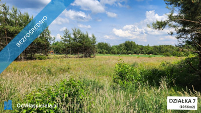 ZBOISKA KRADZIEJOWIC - DZIAŁKI BUDOWLANE PRZY LESIE ŚWIETNY DOJAZD S8 DO W-WY CENY OD 94 TYŚ ZŁ - Zboiska  -
mazowieckie Zdjęcie nr 4