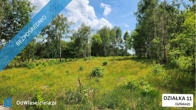 ZBOISKA KRADZIEJOWIC - DZIAŁKI BUDOWLANE PRZY LESIE ŚWIETNY DOJAZD S8 DO W-WY CENY OD 94 TYŚ ZŁ - Zboiska  -
mazowieckie Zdjęcie nr 6