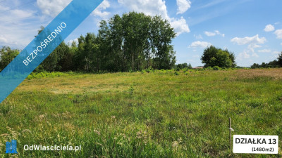 ZBOISKA KRADZIEJOWIC - DZIAŁKI BUDOWLANE PRZY LESIE ŚWIETNY DOJAZD S8 DO W-WY CENY OD 94 TYŚ ZŁ - Zboiska  -
mazowieckie Zdjęcie nr 7