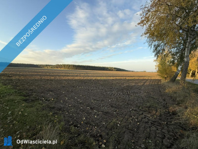 OFERTA SPRZEDAŻY LUB DŁUGOTERMINOWEJ DZIERŻAWY ŻWIROWNI  KOCHOWO II - Kochowo  - wielkopolskie