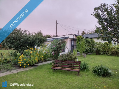 Działka ROD z domkiem 2026  Aleksandrów Kujawski - Aleksandrów Kujawski  - kujawsko-pomorskie