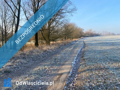 Syndyk sprzeda Nieruchomości w Sownie - Sowno  -
zachodniopomorskie Zdjęcie nr 2