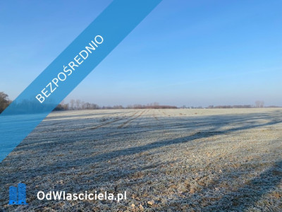 Syndyk sprzeda Nieruchomości w Sownie - Sowno  -
zachodniopomorskie Zdjęcie nr 3