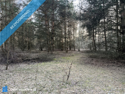 Działka budowlana w miejscowości Wola Pieczyska 1335m2 tylko 1h od Warszawy w spokojnym miejscu - Wola Pieczyska  -
mazowieckie Zdjęcie nr 3