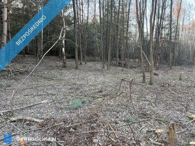 Działka budowlana w miejscowości Wola Pieczyska 1335m2 tylko 1h od Warszawy w spokojnym miejscu - Wola Pieczyska  -
mazowieckie Zdjęcie nr 6