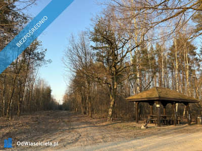 Działka budowlana w miejscowości Wola Pieczyska 1335m2 tylko 1h od Warszawy w spokojnym miejscu - Wola Pieczyska  -
mazowieckie Zdjęcie nr 7