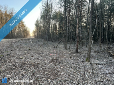 Działka budowlana w miejscowości Wola Pieczyska 1335m2 tylko 1h od Warszawy w spokojnym miejscu - Wola Pieczyska  -
mazowieckie Zdjęcie nr 8