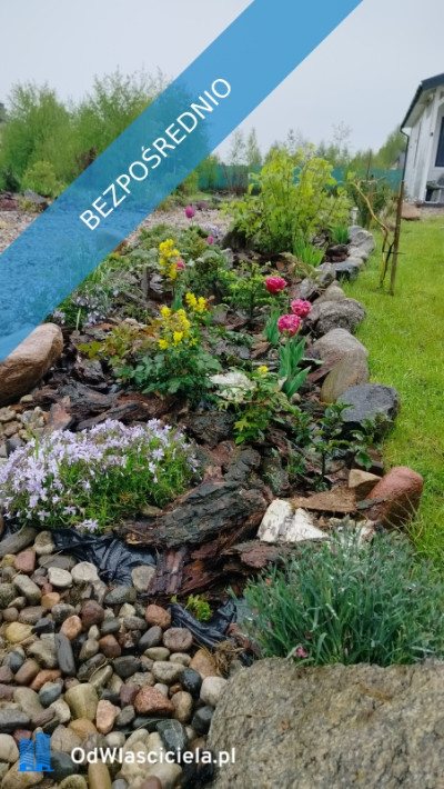  Wyjątkowa działka rekreacyjna blisko jeziora  Radzynek gm Brzuze  - Radzynek  -
kujawsko-pomorskie Zdjęcie nr 9