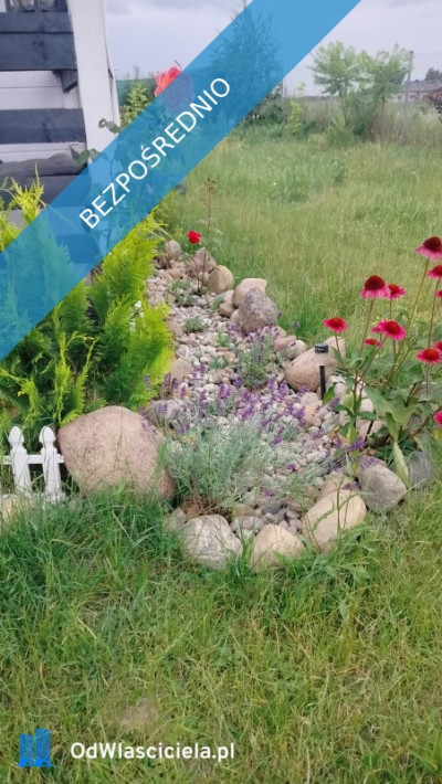  Wyjątkowa działka rekreacyjna blisko jeziora  Radzynek gm Brzuze  - Radzynek  -
kujawsko-pomorskie Zdjęcie nr 10