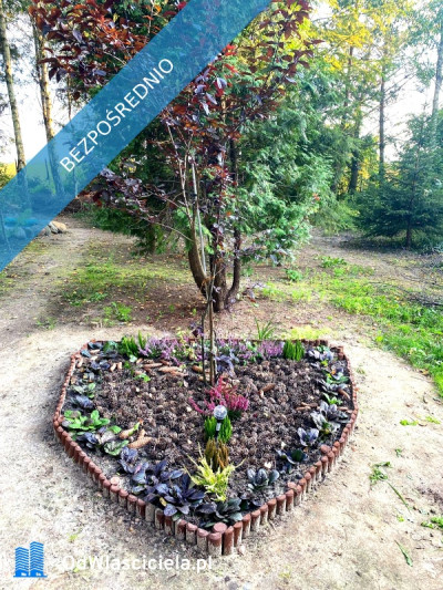 Działka 2111 m  Łódź Brzezińska 257  MPZP- pełne media - piękne otoczenie - Widzew  -
łódzkie Zdjęcie nr 2