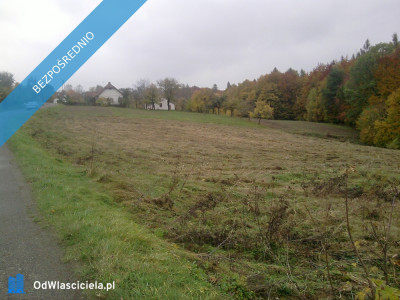 Działka budowlana 45a Dąbrówka Szczepanowska - Dąbrówka Szczepanowska  -
małopolskie Zdjęcie nr 6