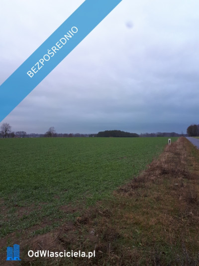 Sprzedam działki Kakawa Stara - Stara Kakawa  - wielkopolskie