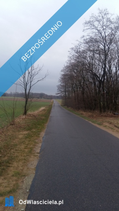 Sprzedam działki Kakawa Stara - Stara Kakawa  -
wielkopolskie Zdjęcie nr 4