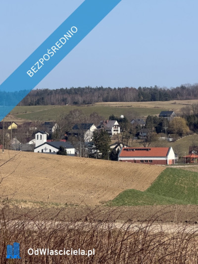 Działka siedliskowabudowlana - Sopieszyno  - pomorskie