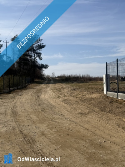 Działka siedliskowabudowlana - Sopieszyno  -
pomorskie Zdjęcie nr 3