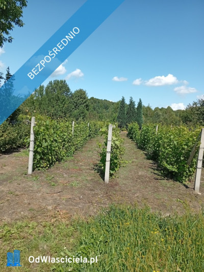 Sprzedam działkę budowlaną  - Ludwinów  -
śląskie Zdjęcie nr 9