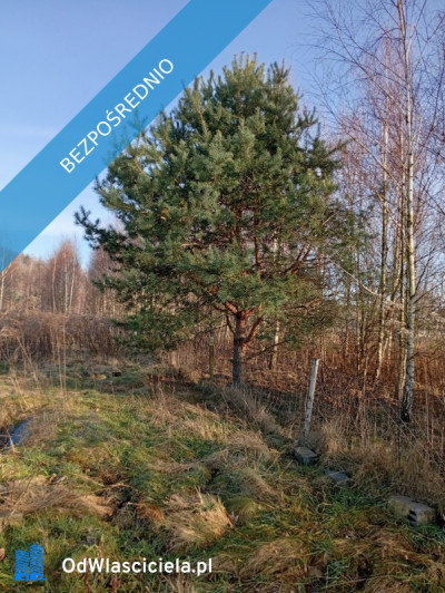 Sprzedam działkę budowlaną  - Ludwinów  - śląskie