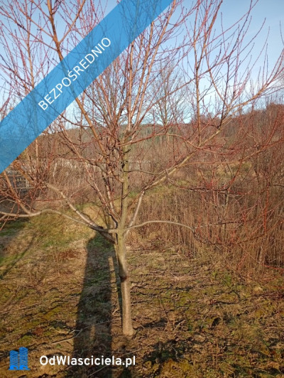 Sprzedam działkę budowlaną  - Ludwinów  -
śląskie Zdjęcie nr 2