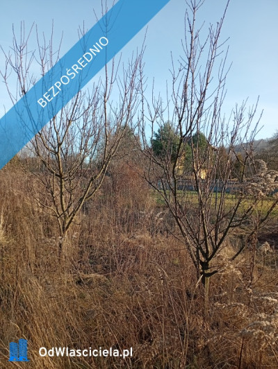 Sprzedam działkę budowlaną  - Ludwinów  -
śląskie Zdjęcie nr 4