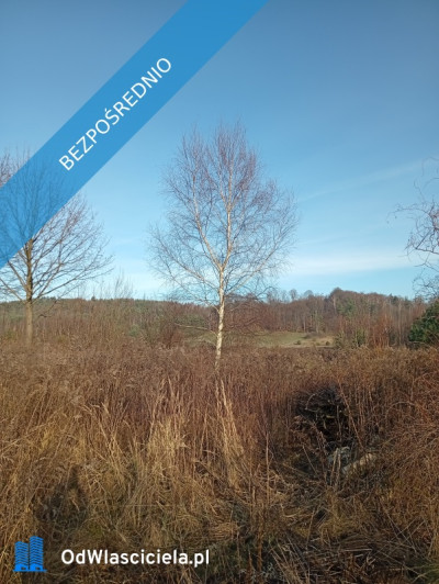 Sprzedam działkę budowlaną  - Ludwinów  -
śląskie Zdjęcie nr 6