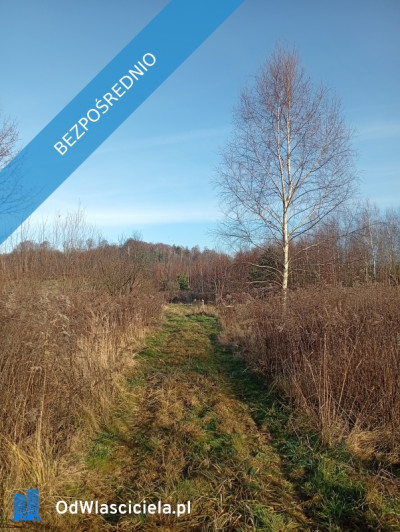 Sprzedam działkę budowlaną  - Ludwinów  -
śląskie Zdjęcie nr 7