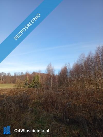 Sprzedam działkę budowlaną  - Ludwinów  -
śląskie Zdjęcie nr 8
