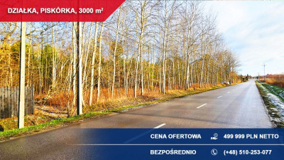Działka budowlana 3000 m PRZY LESIE  Piskórka gm Prażmów - Piskórka  -
mazowieckie Zdjęcie nr 5