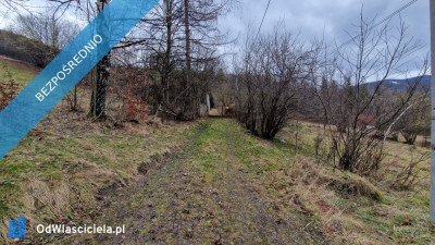 Syndyk sprzeda działki w Ustroniu - Ustroń  - śląskie