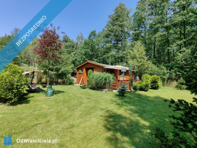 Działka ROD Biała Brzoza - Wola Prażmowska  - mazowieckie