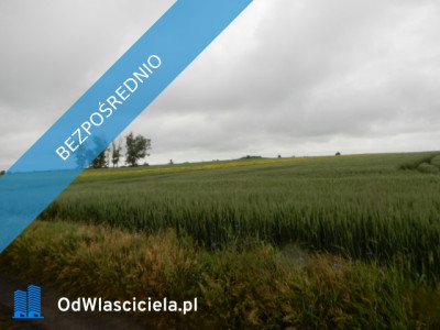 Syndyk sprzeda udział 18 Oborzany działki nr 240 nr 459 nr 505 - cena 40 wartości oszacowania  - Oborzany  -
zachodniopomorskie Zdjęcie nr 4