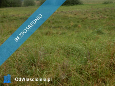 Syndyk sprzeda udział 18 Oborzany działki nr 240 nr 459 nr 505 - cena 40 wartości oszacowania  - Oborzany  -
zachodniopomorskie Zdjęcie nr 6