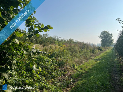 SUPER DZIAŁKA BUDOWLANA okolice Czerska - Brzumin  -
mazowieckie Zdjęcie nr 2