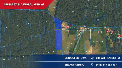 Na sprzedaż teren inwestycyjny pod małe osiedle  Żabia Wola Redlanka - Redlanka  -
mazowieckie Zdjęcie nr 3