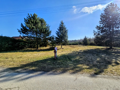 Działka budowlana 8600 m2 w klimatycznej miejscowości  Osuchów  Mszczonów  Żyrardów - Osuchów  -
mazowieckie Zdjęcie nr 2