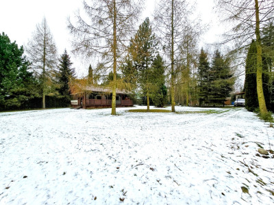 Działka rekreacyjna 1950 m2  dom  100 metrów jezioro Głowińskie - Brodnica  -
kujawsko-pomorskie Zdjęcie nr 18