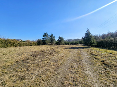 Działka budowlana 8600 m2 w klimatycznej miejscowości  Osuchów  Mszczonów - Mszczonów  -
mazowieckie Zdjęcie nr 4