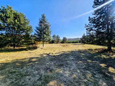 Działka budowlana 8600 m2 w klimatycznej miejscowości  Osuchów  Mszczonów - Mszczonów  -
mazowieckie Zdjęcie nr 5