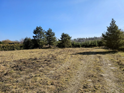 Działka budowlana 8600 m2 w klimatycznej miejscowości  Osuchów  Mszczonów - Mszczonów  -
mazowieckie Zdjęcie nr 6