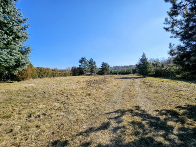 Działka budowlana 8600 m2 w klimatycznej miejscowości  MPZP  Osuchów  Mszczonów - Osuchów  -
mazowieckie Zdjęcie nr 5