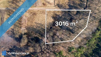 Działka przy lesie nad Zalewem Szczecińskim z warunkami - Nowe Warpno  -
zachodniopomorskie Zdjęcie nr 9