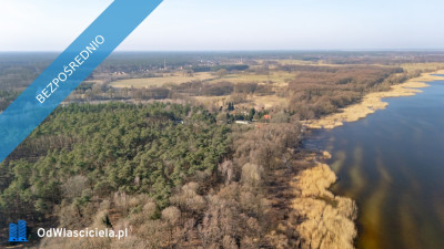 Działka przy lesie nad Zalewem Szczecińskim z warunkami - Nowe Warpno  -
zachodniopomorskie Zdjęcie nr 3