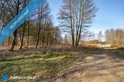 Działka przy lesie nad Zalewem Szczecińskim z warunkami - Nowe Warpno  -
zachodniopomorskie Zdjęcie nr 5